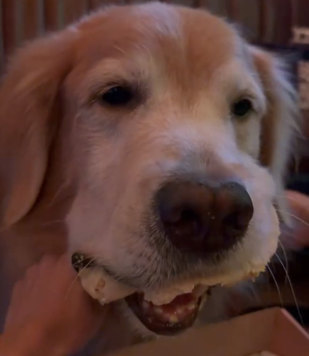 S1mone97's tweet image. Family 🥹💙               { #est_rvp }

Heart shaped                          Heart shaped
        lips                                                nose