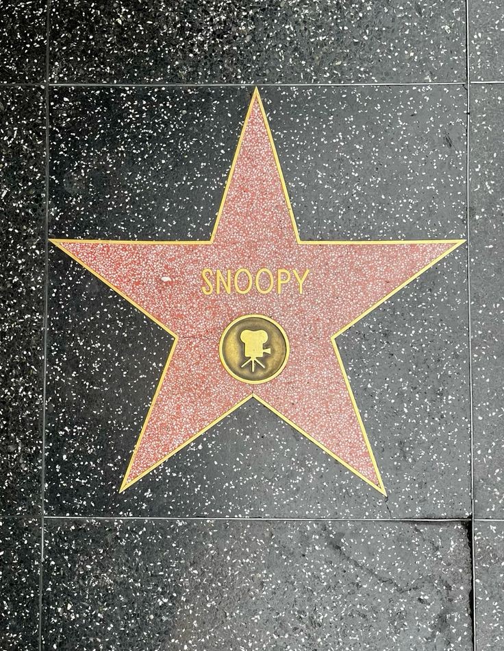 Snoopy ✨⭐