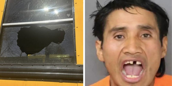 TonySeruga's tweet image. Legacy media: Crickets!

🚨 Illegal Immigrant Charged with Fracturing Eight-Year-Old Girl’s Skull

This story offers an unfortunate reminder of the evil ICE deals with daily. 

Prosecutors have charged a Mexican illegal immigrant with fracturing a New Jersey child’s skull with a…