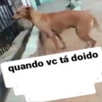 haselnutands's tweet photo. @tracklist Estou prestes a cometer a maior irresponsabilidade financeira de todos os tempos https://t.co/0EXdNxdkey