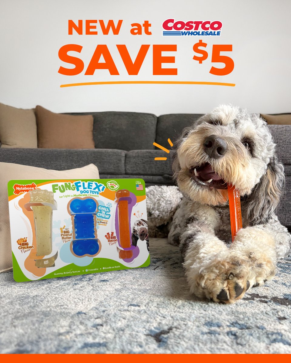 Nylabone Products tweet media