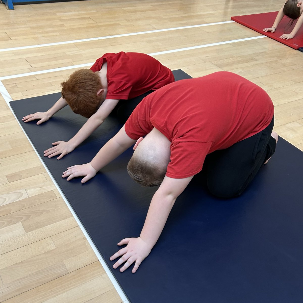 Luckwell Primary tweet media