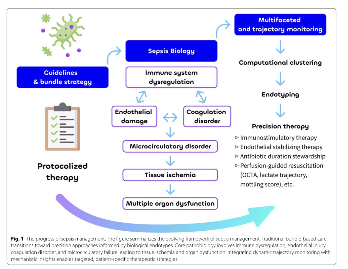 Update on sepsis and septic shock:
from bundles to precision medicine

🔺 "Shorter therapy is not under-treatment. It is precision."

doi.org/10.1007/s00134…
