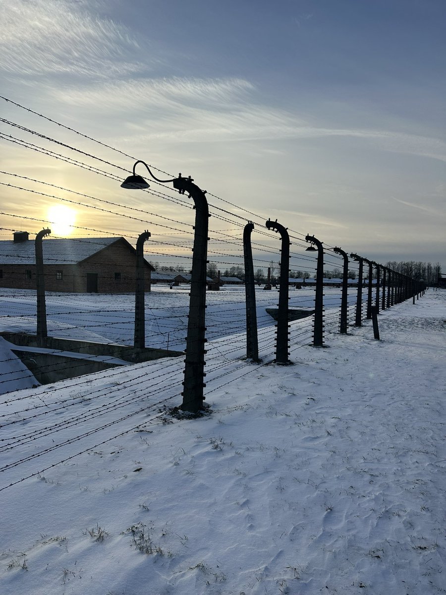 אוהד חמו tweet media