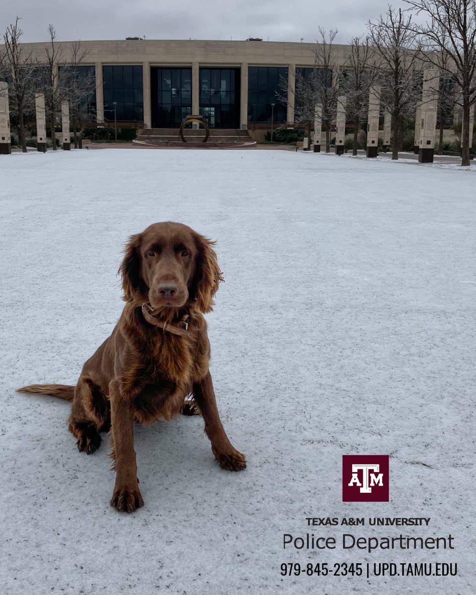 Texas A&M Police tweet media