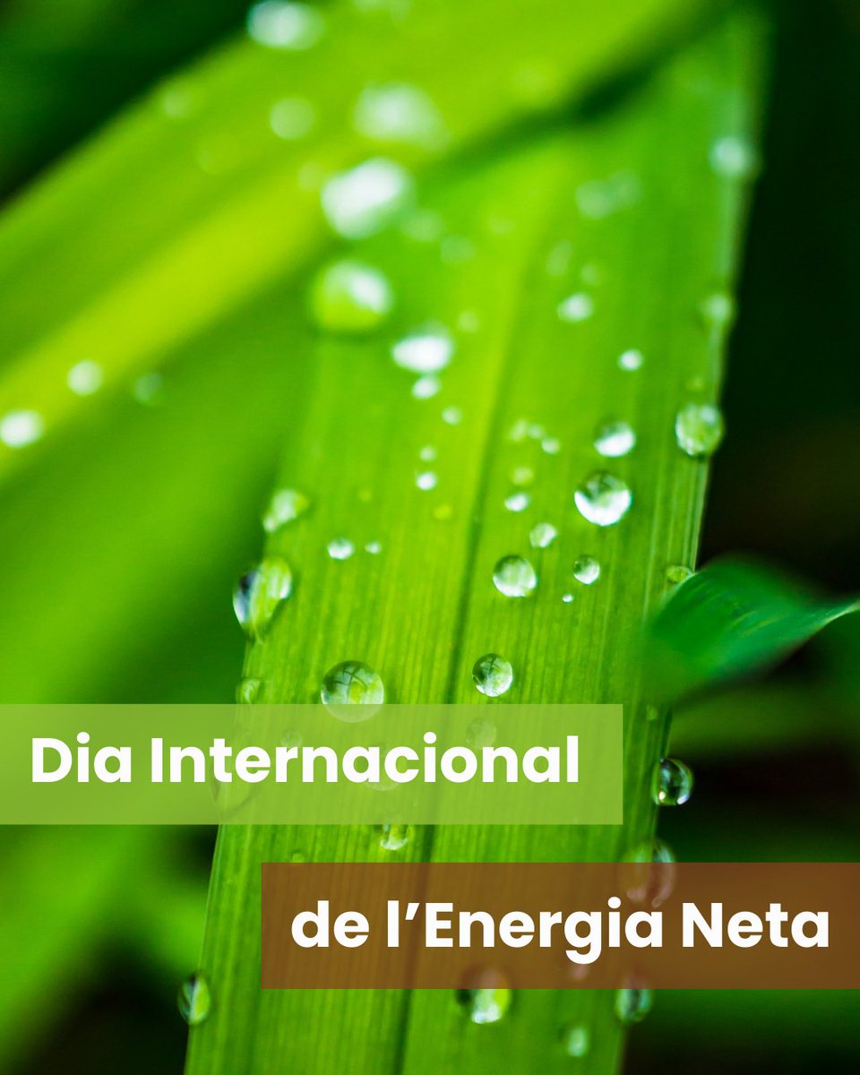 Avui, Dia Internacional de l'Energia Neta, reafirmem el nostre compromís amb una #transicióenergètica justa i sostenible♻️

✅Creiem que la #bioenergia i les energies renovables són fonamentals per reduir emissions, garantir energia per a tothom i afrontar els reptes climàtics