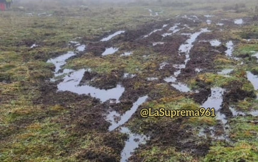 LaSuprema961's tweet image. #ATENCIÓN #Indignante 😔🤬
#Cuenca | Daños graves habría tras el ingreso ilegal de vehículos 4x4 🚙 al Parque Nacional Cajas (PNC), sector de Angas. Ayer, los automotores recorrieron en el páramo unos 3.5 kilómetros. Guardaparques de ETAPA EP intervino. 👇