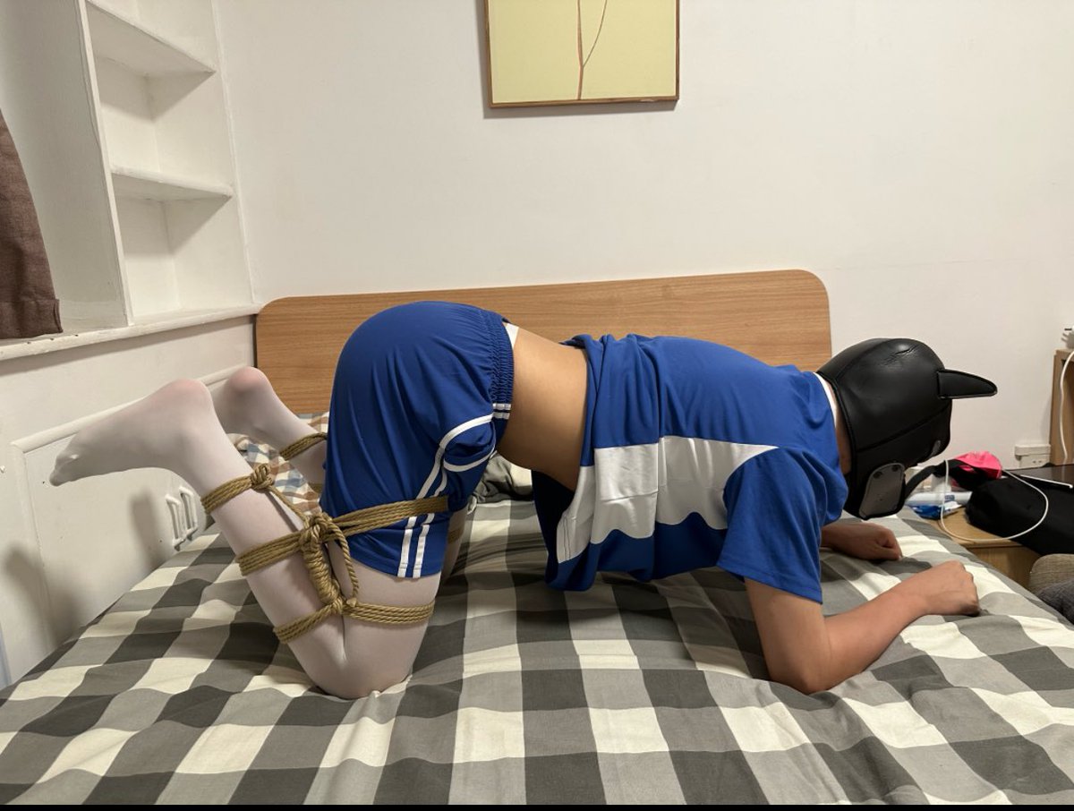 超狗小千 tweet media