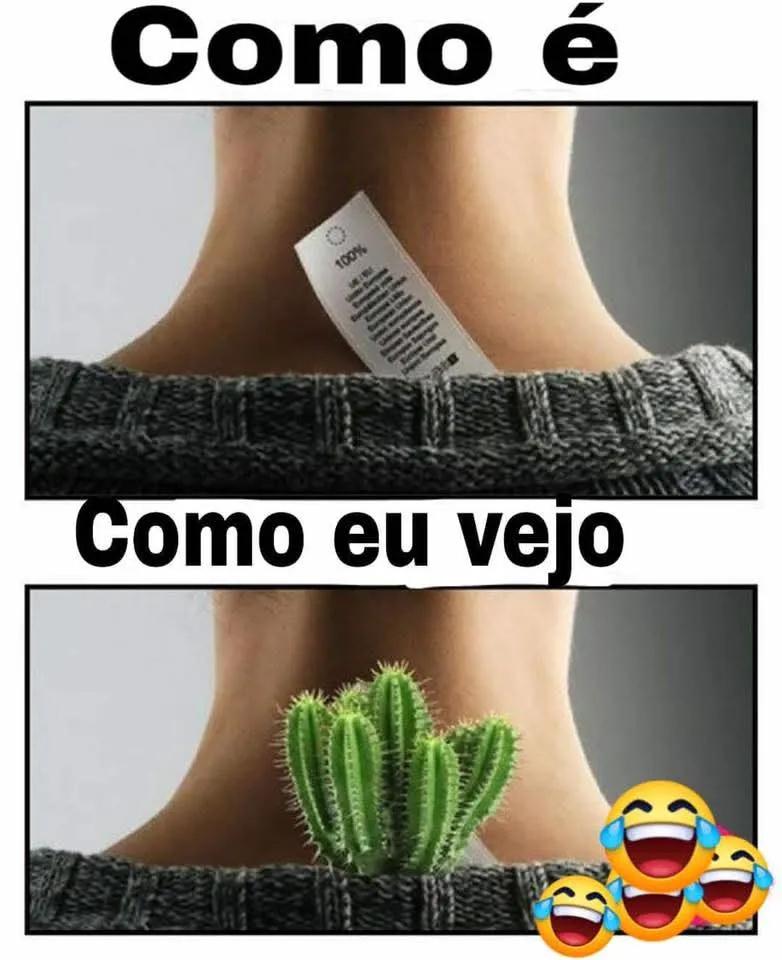 sigaJohny's tweet image. Odeio etiquetas, arranco tudo.
E vc?
