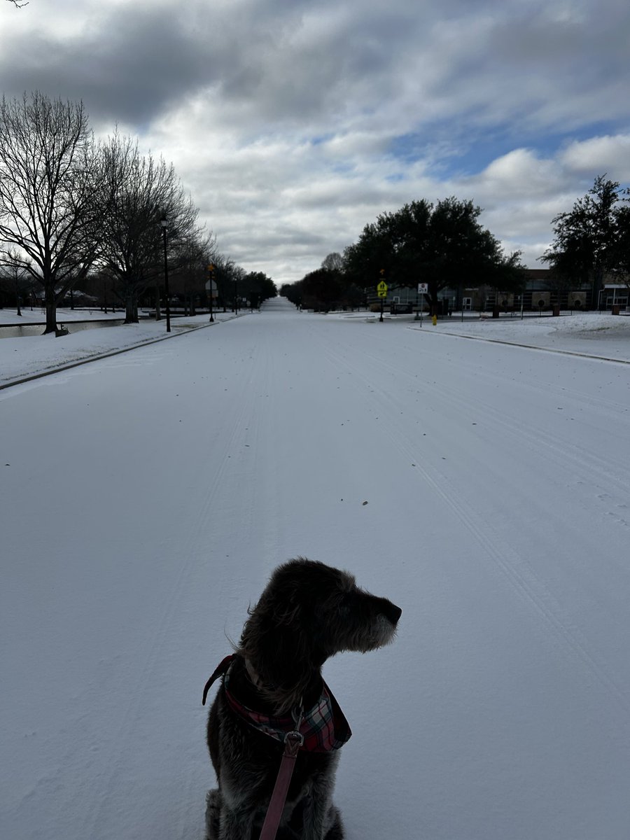 Heeg2020's tweet photo. @EvanAndrewsWX … good morning from Coppell 🙂 https://t.co/Lb256Gq750