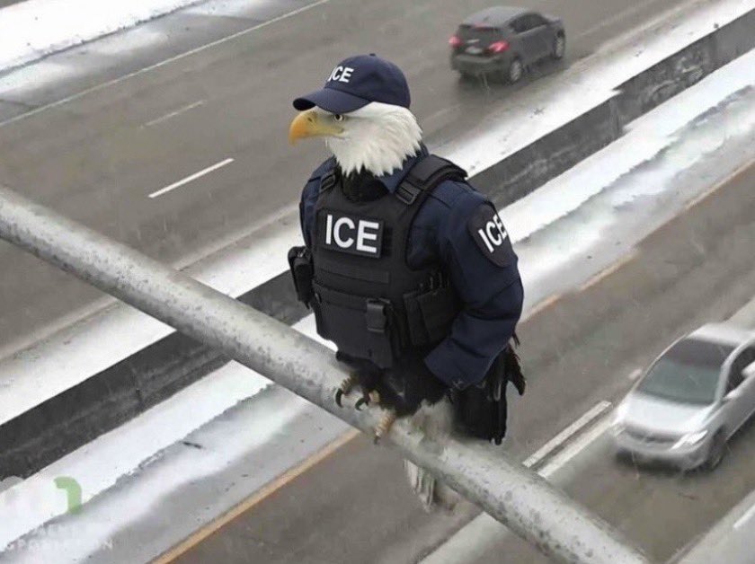 <a href="/WhiteHouse/">The White House</a> The Aura is impeccable 🦅