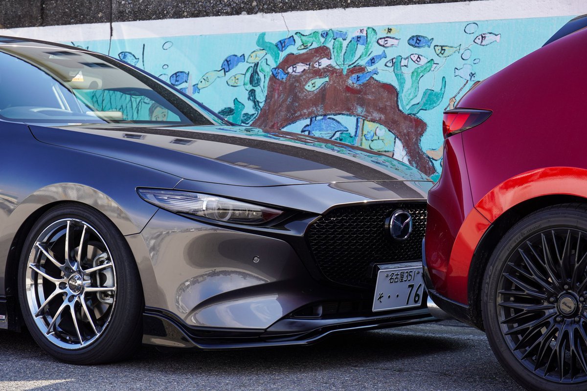 またたび　お急ぎ Cybergundam - Cybergundam added a new photo.