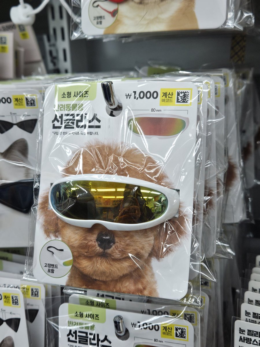 @황성철
현프들집합.이거빨리수현한테씌우삼.