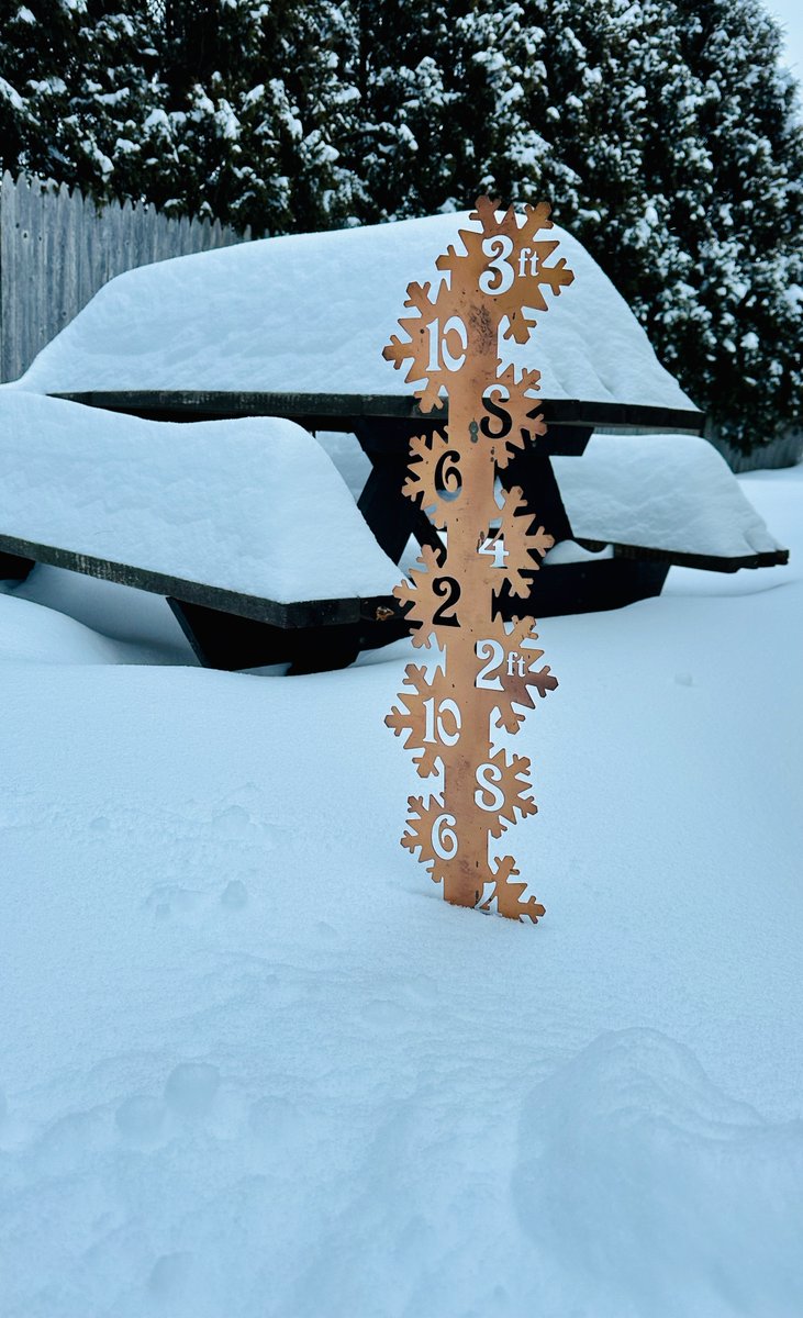 Wonder Pixels tweet media