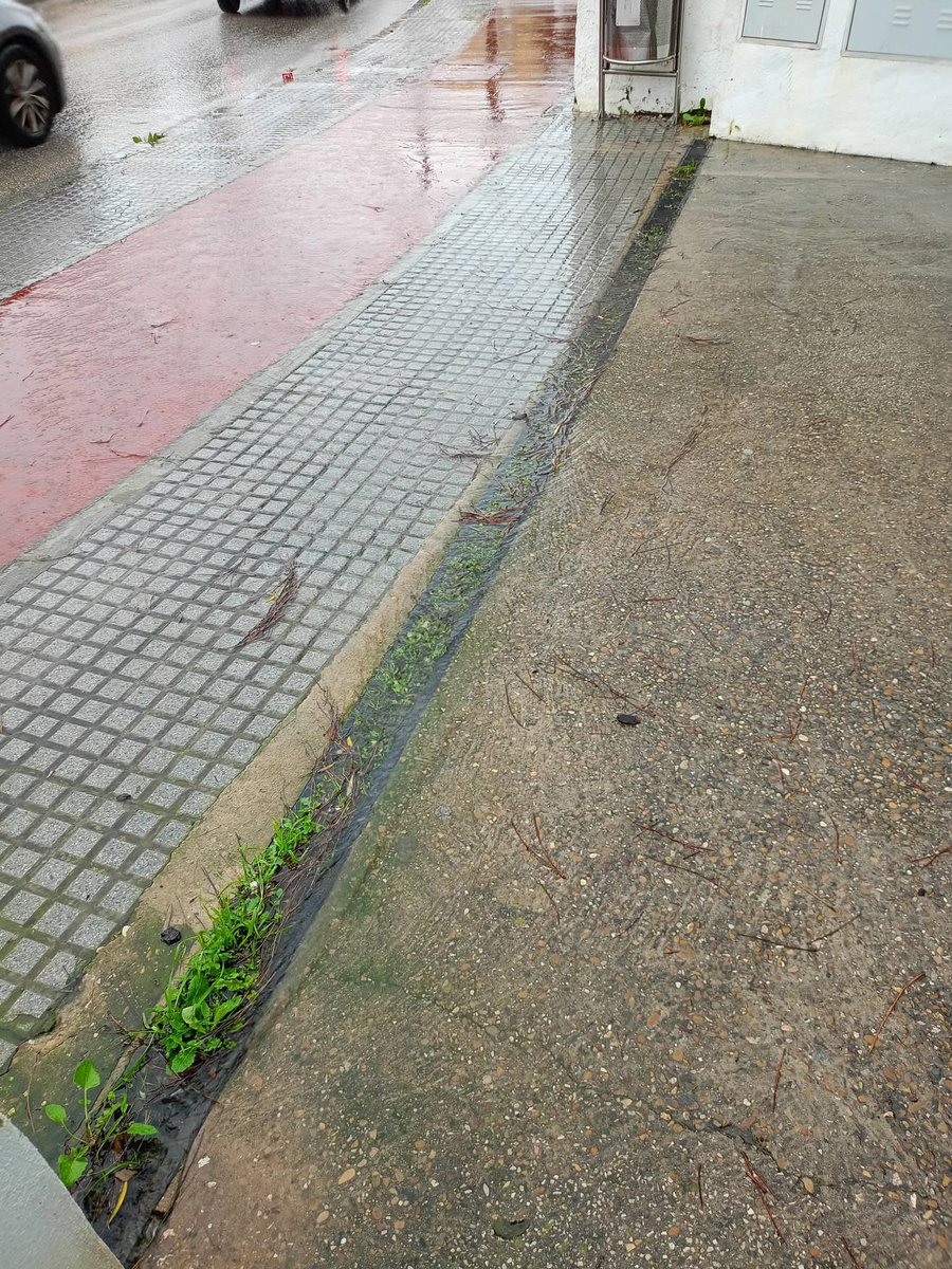 Encabroná tweet media