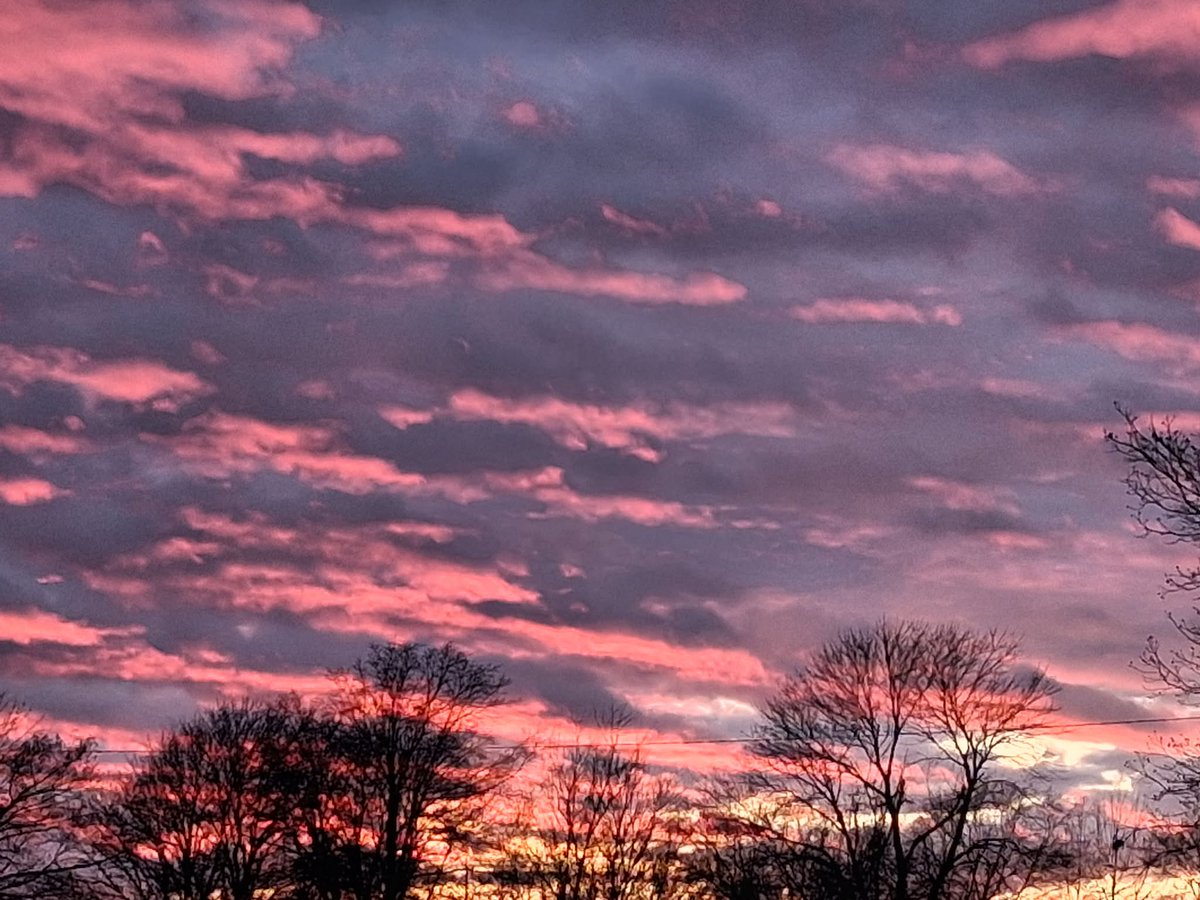 AshleyReneeWx's tweet photo. Look at these beautiful pics ππ! Skies were cloudy, but some sunlight was still shining up against the clouds as the sun was setting. These pictures were taken last week in Ruleville, MS. Thank you Millie White Coleman for sending these in! #SunflowerCounty #MississippiDelta https://t.co/bG8pn6w0u5