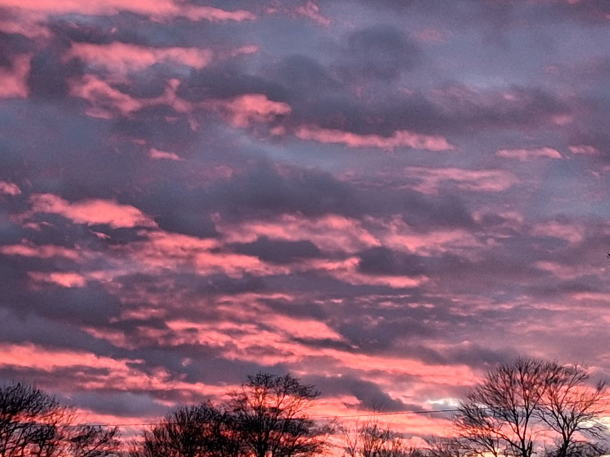AshleyReneeWx's tweet photo. Look at these beautiful pics ππ! Skies were cloudy, but some sunlight was still shining up against the clouds as the sun was setting. These pictures were taken last week in Ruleville, MS. Thank you Millie White Coleman for sending these in! #SunflowerCounty #MississippiDelta https://t.co/bG8pn6w0u5