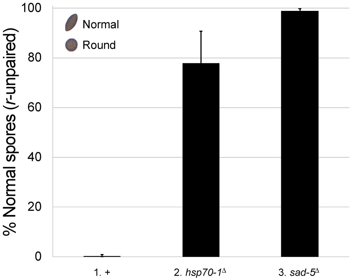 Epigenomes MDPI tweet media