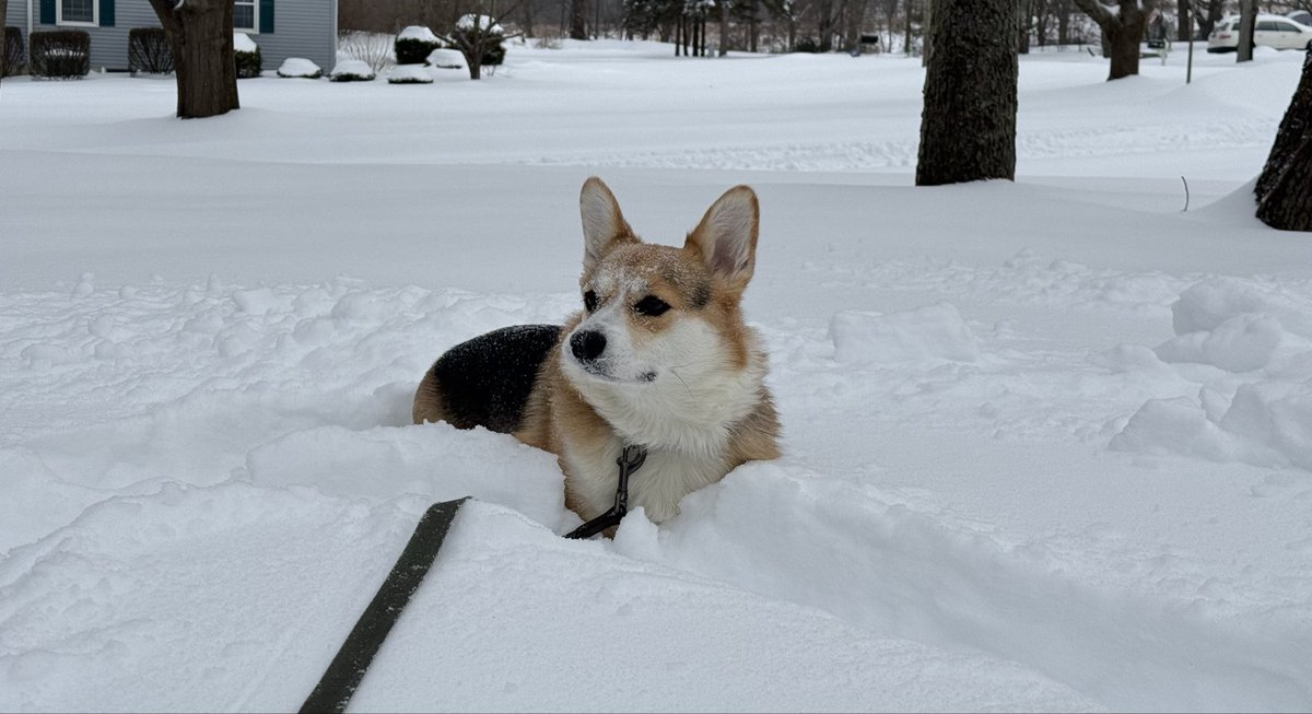 James Kern III tweet media