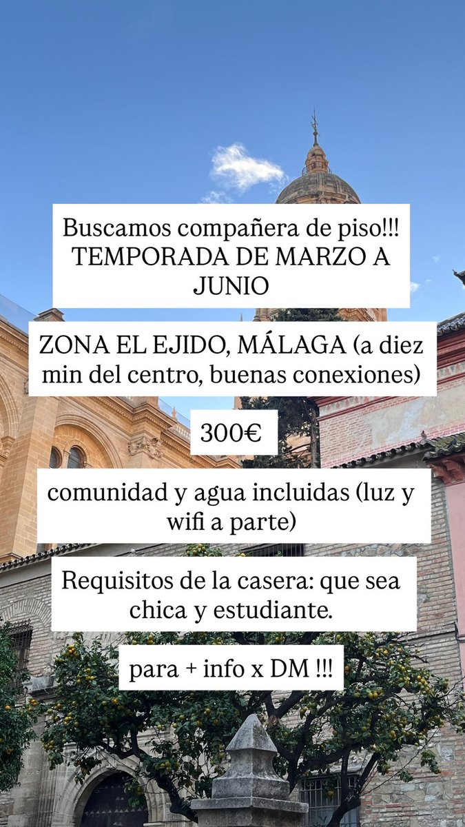 estela tweet media