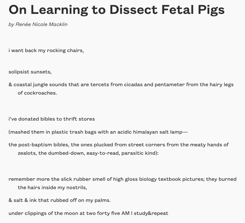 Avery Trufelman tweet media