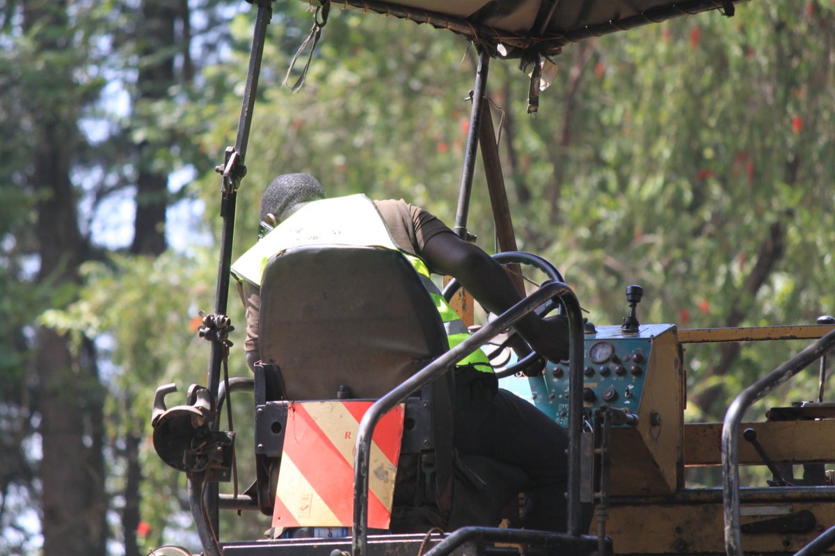 SonySugar Company 2025 Ltd tweet media