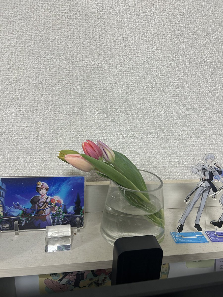 チューリップ、6時間のビフォーアフター