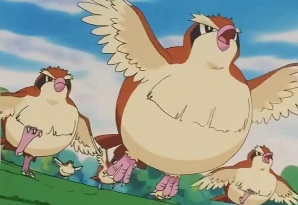 UniteVids's tweet photo. ✨Chonky Pokémon appreciation post✨ https://t.co/IBP4K9bdaq