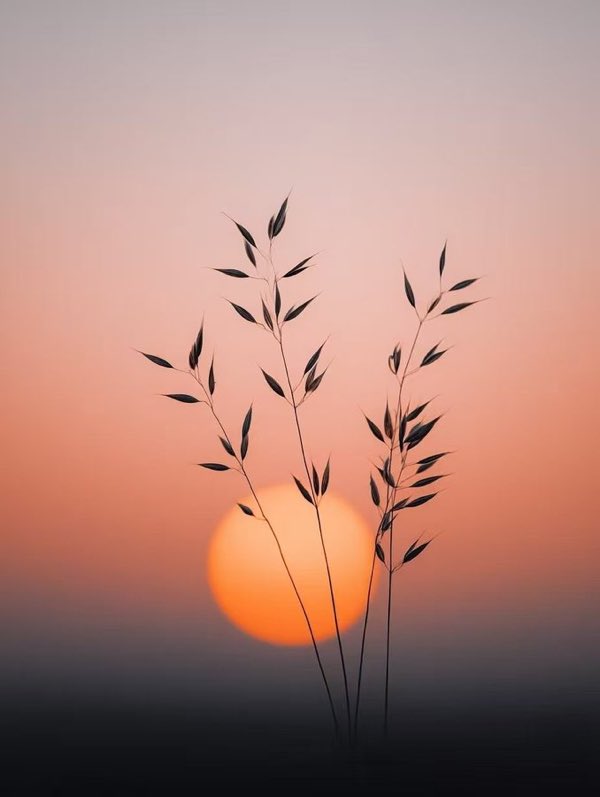 🦋 Nilgün 🦋 tweet media