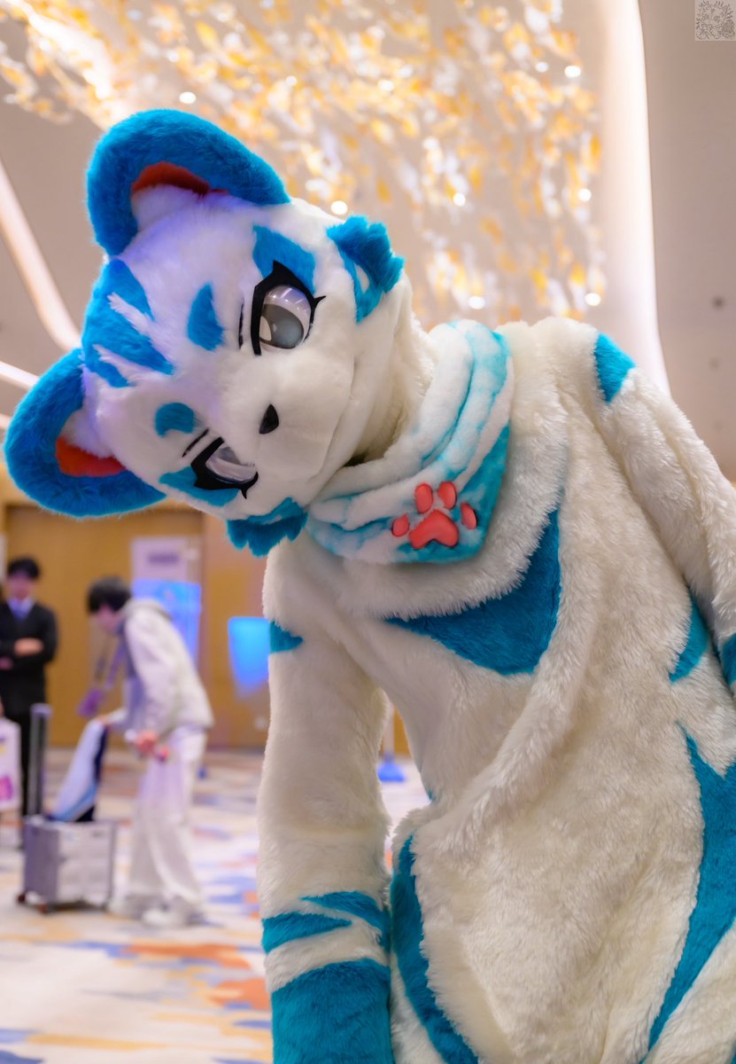 KrupppFamily's tweet photo. Are you furry? https://t.co/StgiZLdcfx