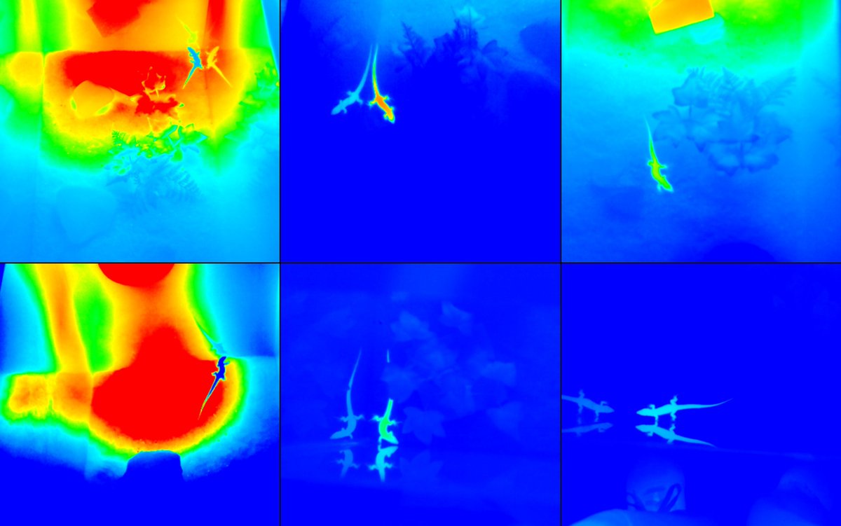 UAntwerp Funmorph tweet media