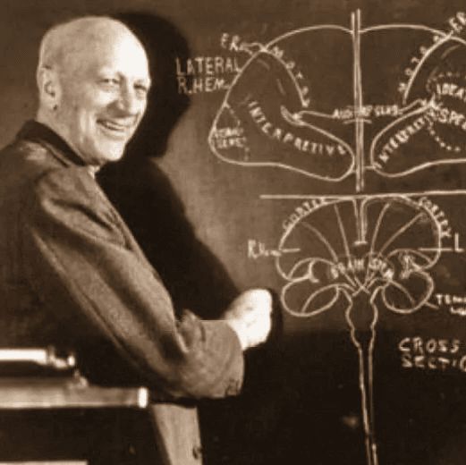 Many Canadians know him from the "I smell burnt toast!" Heritage Minute, but Wilder Penfield greatly advanced our understanding of the human brain.
His work expanded our knowledge of brain tumours, headaches, memory mechanisms and more.
This is his story.

🧵 1/10