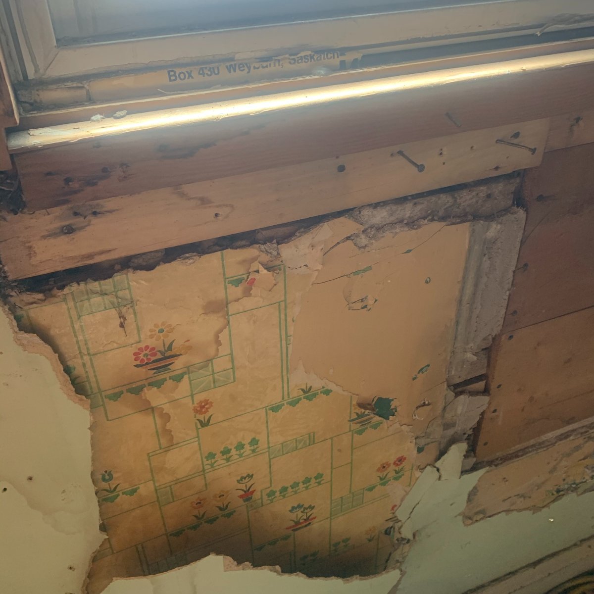 Mold Fact! 🦠 Mold often grows in places you rarely check: under floors, behind walls, under sinks, and inside attics/crawl spaces. Get the got mold?™ team to do a thorough inspection to find the location and source of the growth. We find and fix sources of unhealthy #indoorair.