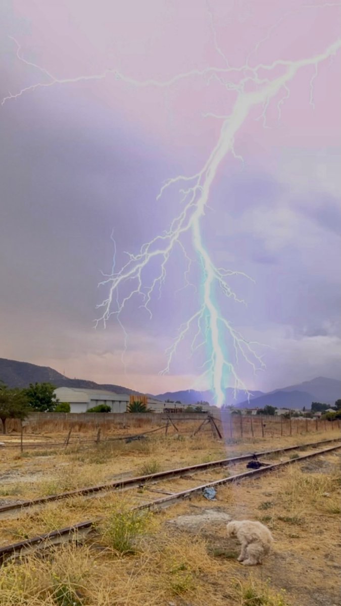 Iandrearoblesm's tweet photo. Justo grabé en un momento random jajaja 
#lacalera #TormentaElectrica https://t.co/n4nFO7bq24
