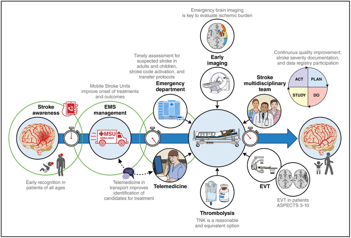 2026 Guideline for the Early Management of Patients With Acute Ischemic Stroke: A Guideline From the American Heart Association/American Stroke Association ahajournals.org/doi/10.1161/ST…