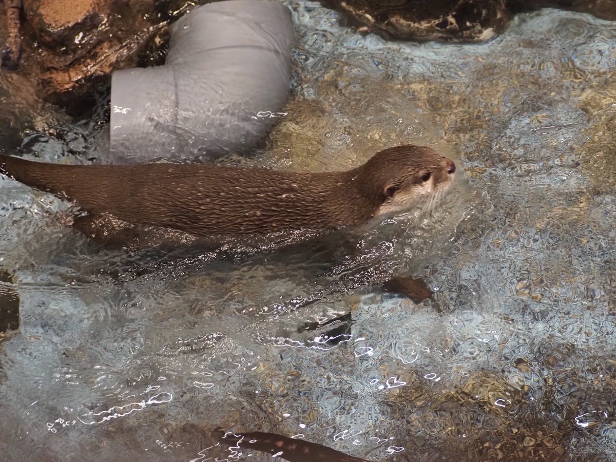 どの政党が良いかは
各人の立場によります
それぞれの主観によるものです

ですから
分断ではなくて
お互いを尊重して、仲良くが基本だと思います

しかし選挙に行かない人が多すぎるのは大問題です

どこが良いかわからない方は
私の現在のイチオシ
日本保守党‼️

又は参政党
はいかがでしょうか😊