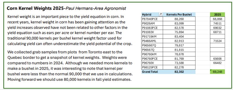 The Hermanator! (Paul Hermans) tweet media