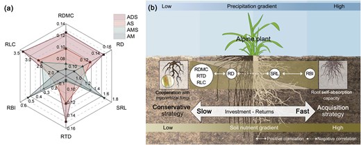 JPlantEcol's tweet photo. 【💡Editor's Choice】
Yu-Jue Miao et al. reveals #AdaptiveStrategies of alpine plants along the precipitation gradient in the northern Xizang Plateau, characterized by #Trade_offs between #RootTraits and mycorrhizal symbiosis.
@MaximumAcademic
https://t.co/amaMnnY4yG https://t.co/MyuLZn710f