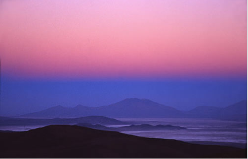 Dr. Kohan🏛🏛🏛 tweet media