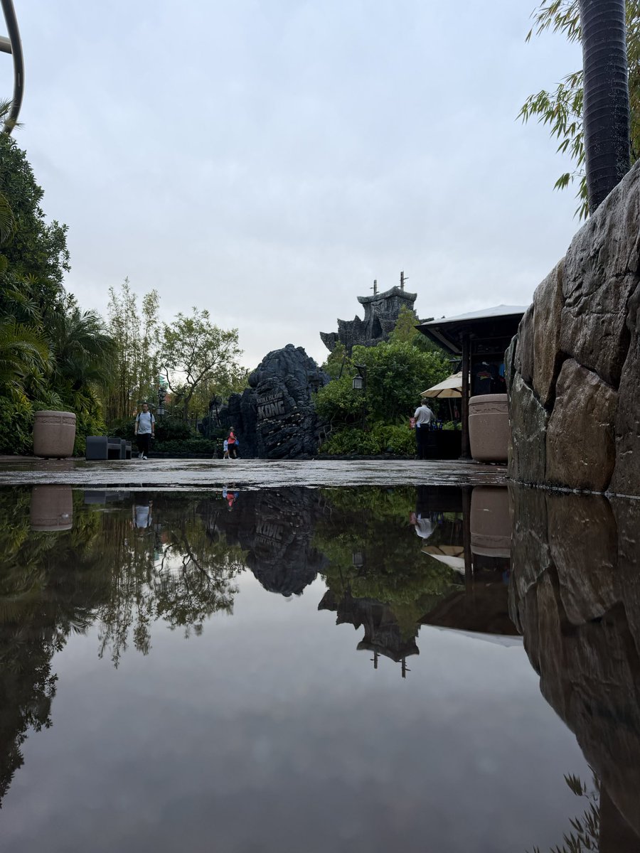 themeparkpuddle's tweet photo. One of those mornings. @UniversalORL https://t.co/eKmz7cDy2R