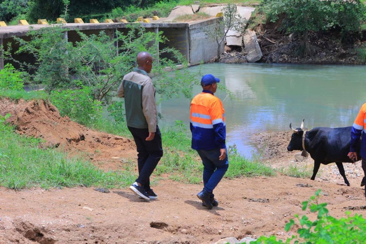 Roads Agency Limpopo tweet media