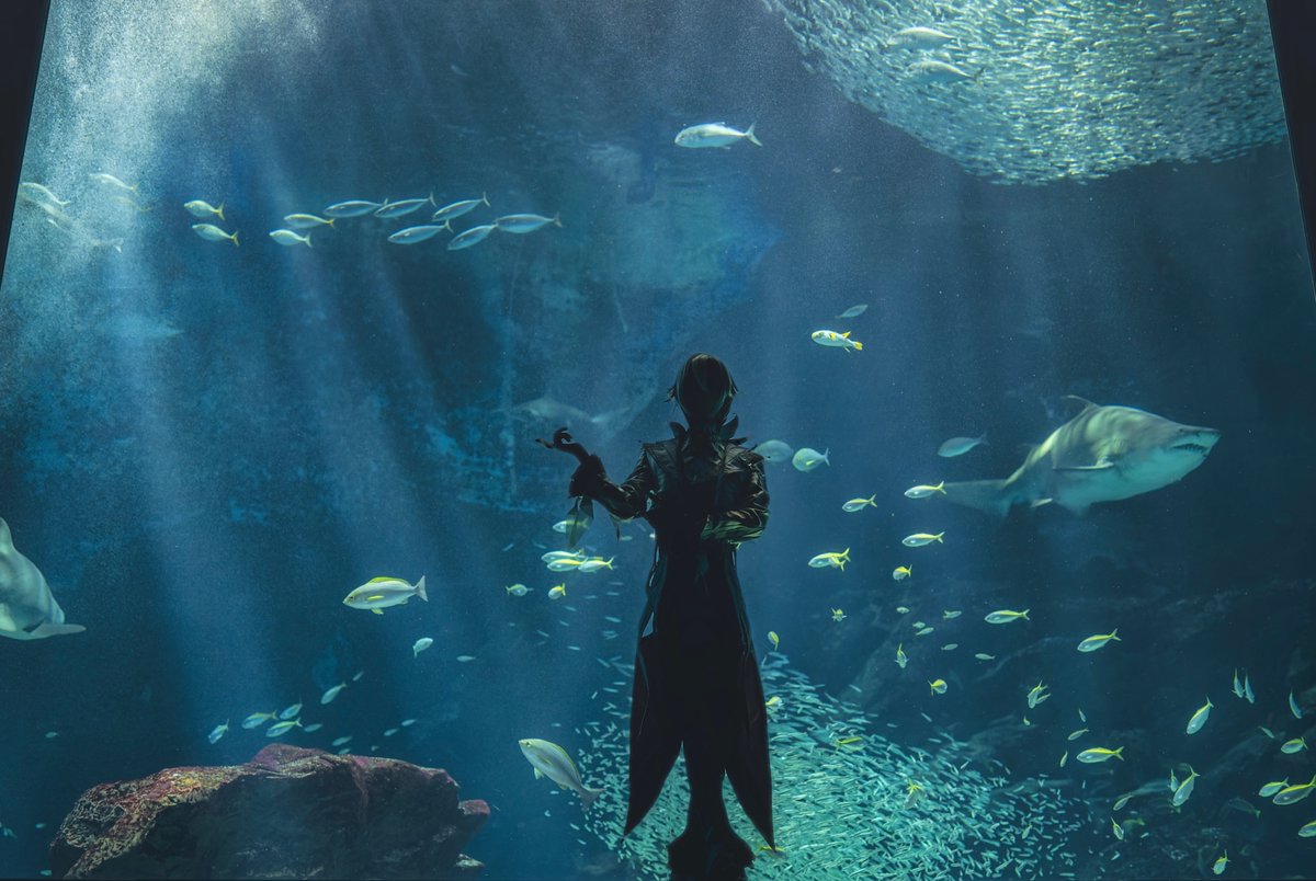 ばーさく tweet media