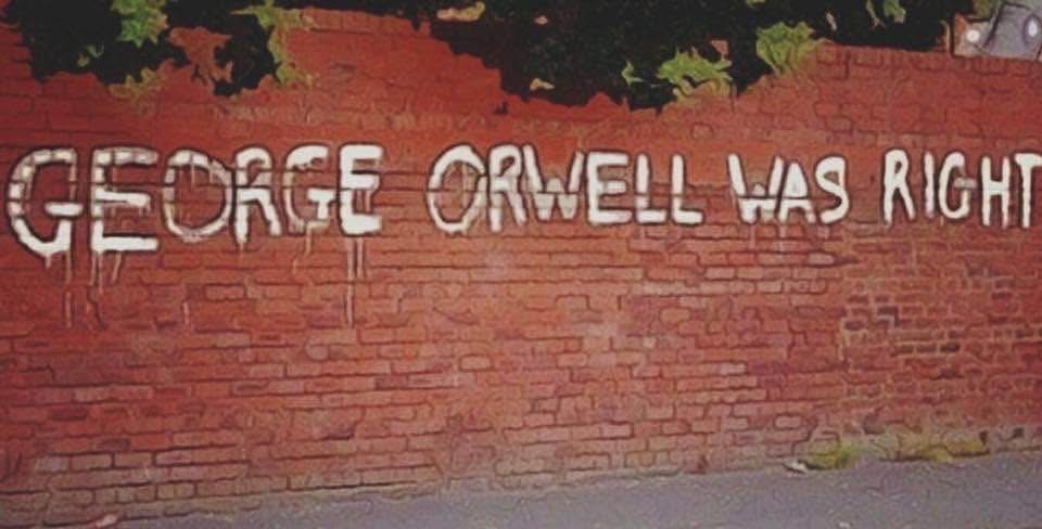 Irena Buzarewicz (@irenabuzarewicz) on Twitter photo 