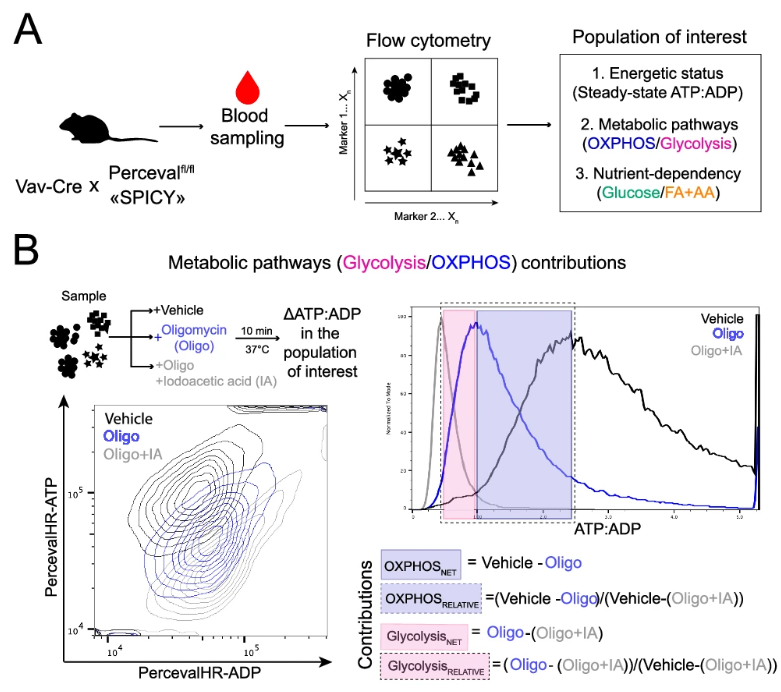 Dylan Ryan tweet media