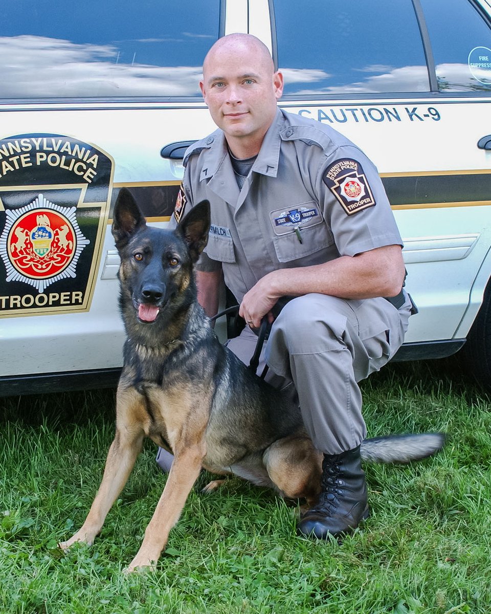 PSP Canine Eva has passed away. She worked alongside handler Trooper Laudermilch performing drug detection duties until 2017. After retirement, she enjoyed just being a dog as a beloved family member. She was nearly 16 years old. We thank Eva for her service to the Commonwealth.