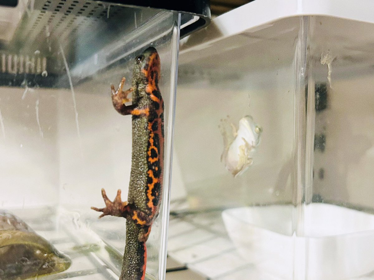 待ってどういう状況？笑