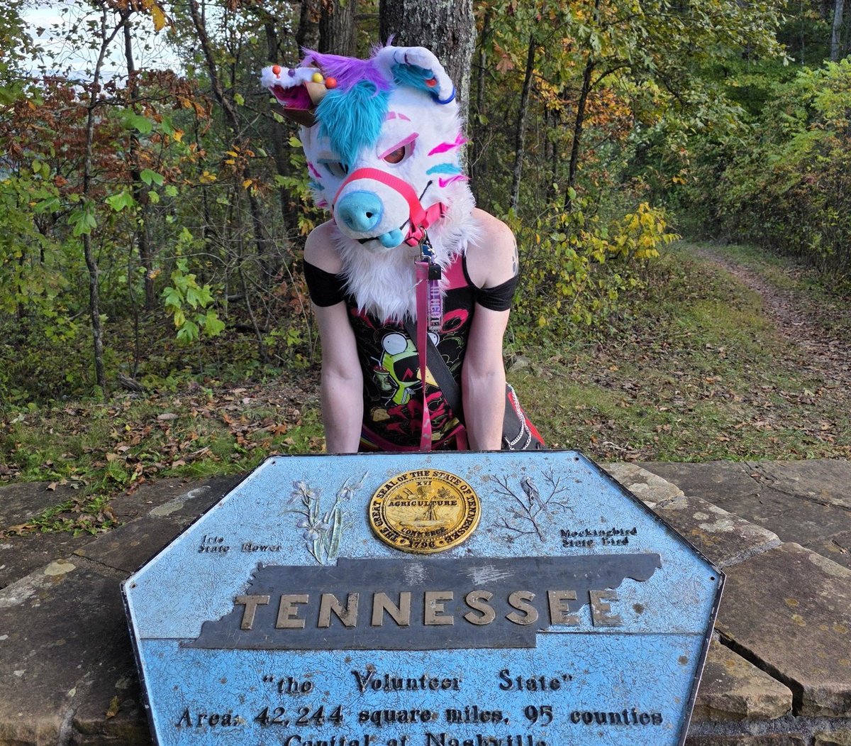 The Horny Service Tolf | 🔞 🔜 AC?, MP? tweet media