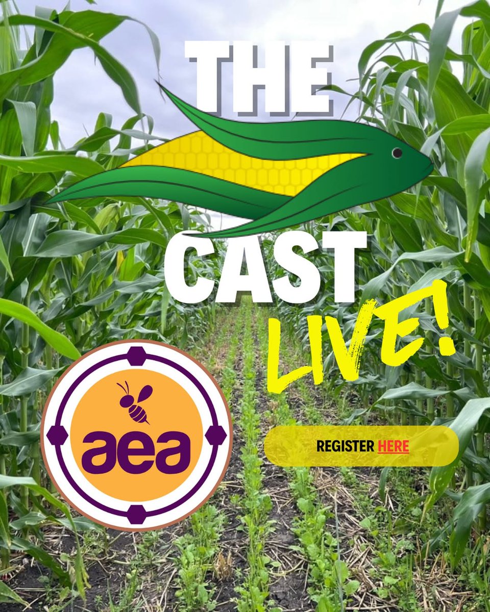 Live webinar this Friday: @realJohnKempf and our friends at BASS Hybrids will be talking all things corn! 

➡️ Register: loom.ly/Aws80co

They'll discuss AEA's approach to increasing corn yields, reducing input costs, and initial results from the field trials BASS has