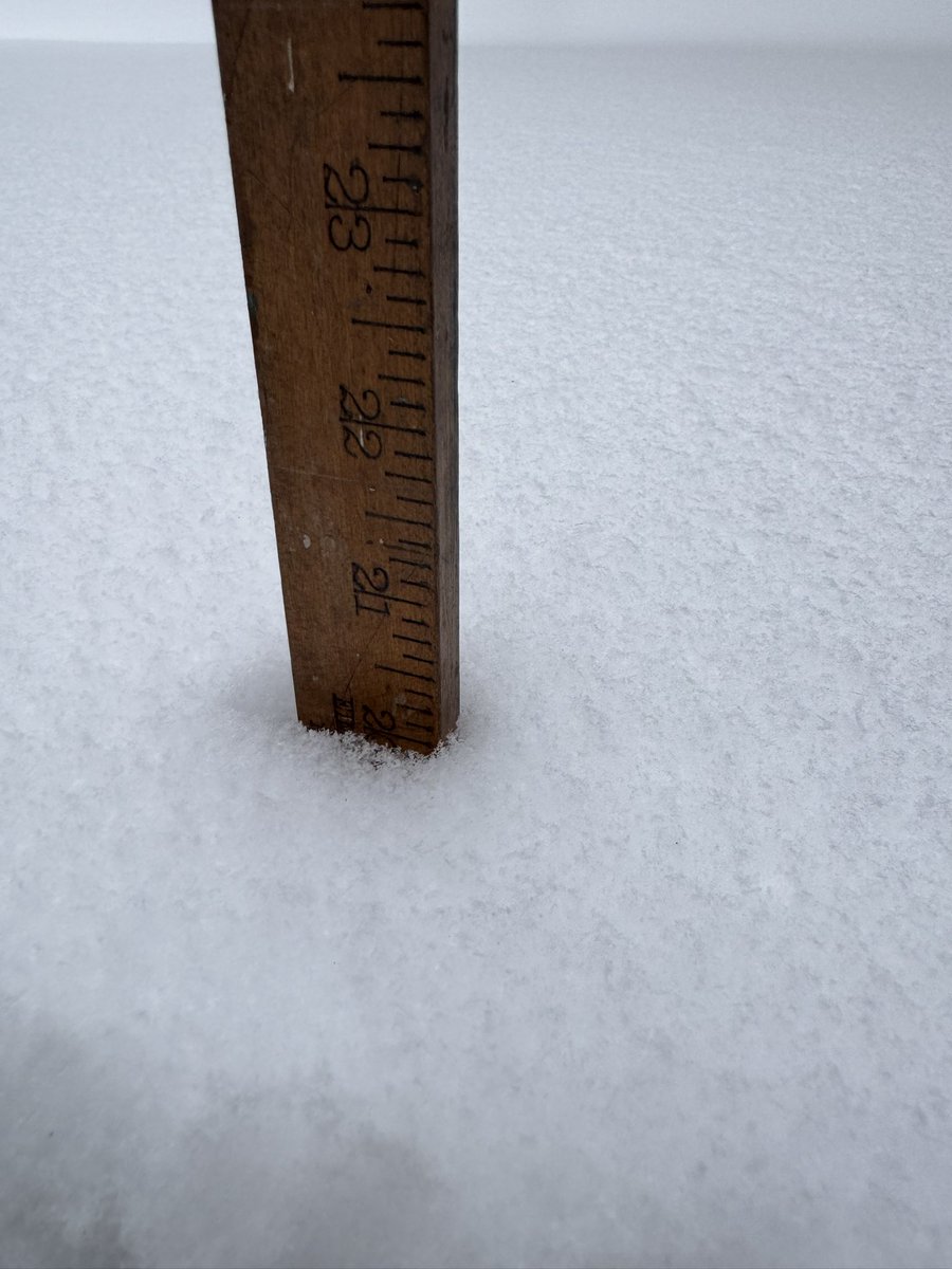 Beachmere Inn tweet media