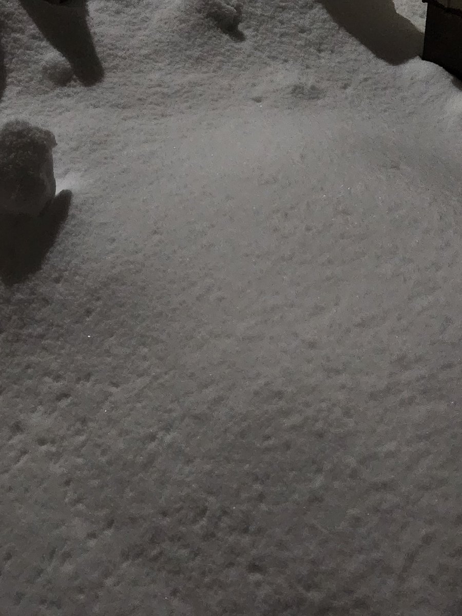 キラキラしてるの分かるかな？✨
気温が低いと雪の表面が凍りはじめ
常夜灯の薄明かりでも
きらめき始めます。
肉眼で見て欲しい雪国。⛄️